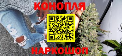 прущие грибы Кунгур