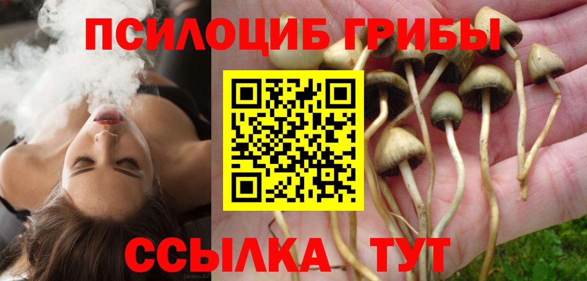 MDMA Димитровград
